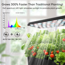 Sonicgrace Indoor Hydroponic Growing System - 5 Pods Smart Herb Garden with LED Grow Light & Pump, Black