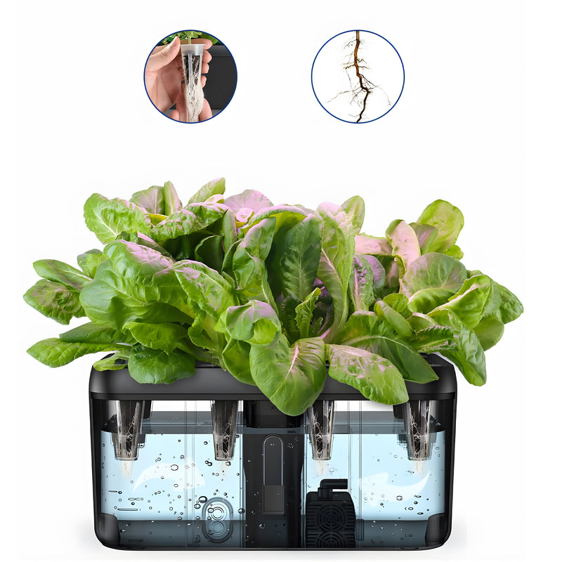 Indoor Hydroponic Growing System with LED Grow Light, Quiet Smart Water Pump, 5 Pods, Automatic Timer, Perfect for Herbs, Vegetables and Fruits, Ideal Home Office Gardening Gift