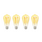 Smart WiFi Amber Filament Bulb - EC-F100