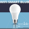 Smart Wi-Fi LED Light Bulb with Color Changing & Dimmable - EBE-QPZ04