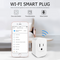 Smart Single Wi-Fi Outlet Plug - DPS1101S